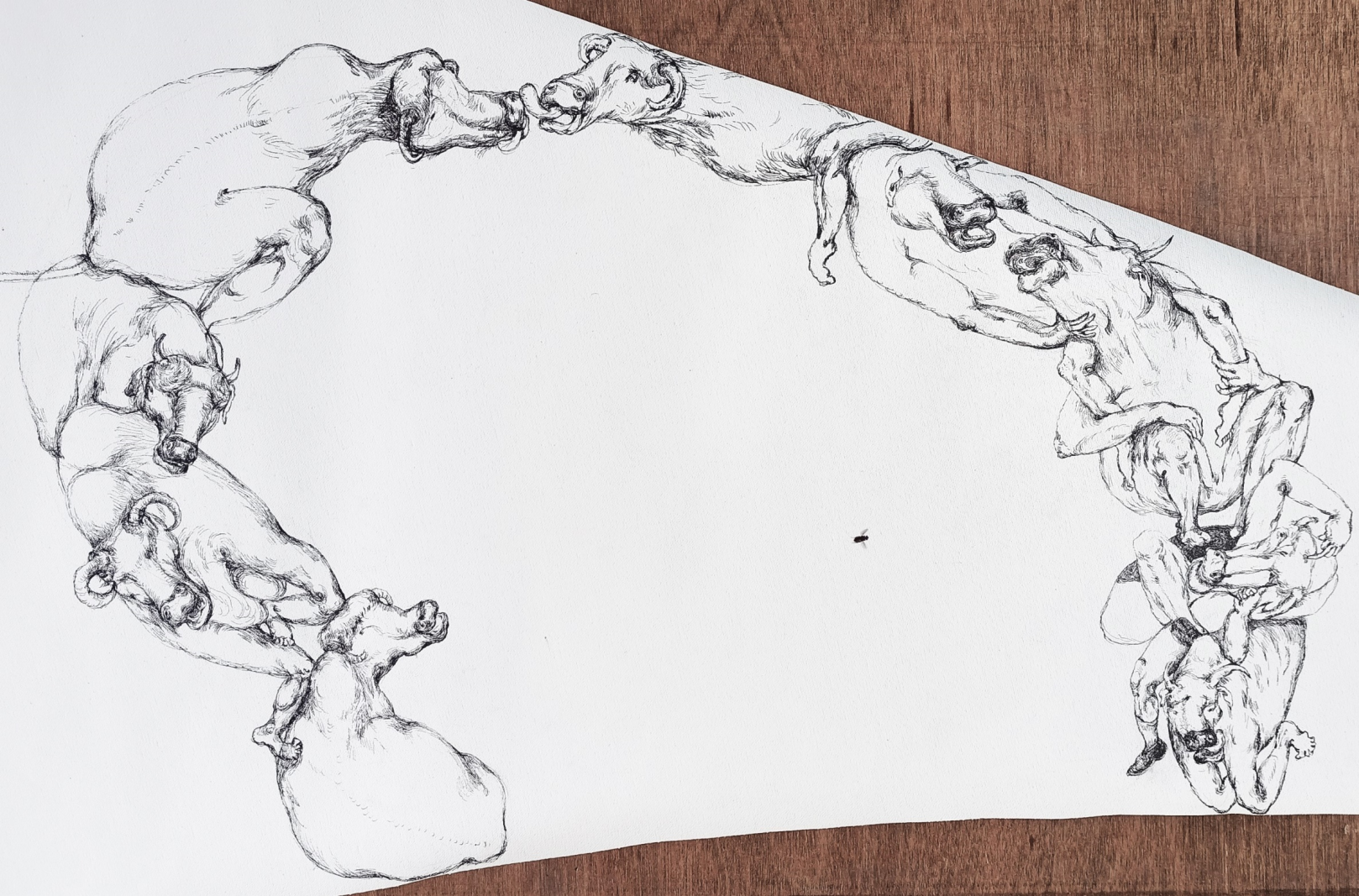 Drawing Installation _ Floating Island _ Pen on Canvas and Wall _100 ft. Long Scroll (3048 cm)_2023