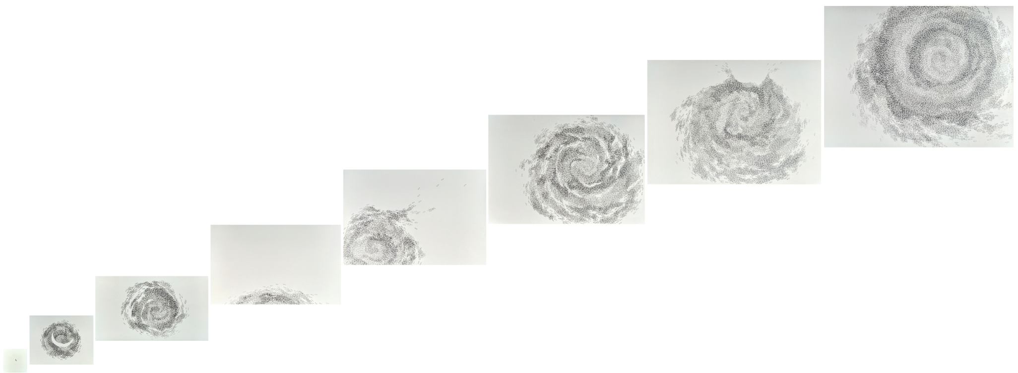 time without birth and death.. _ Series ‘Line and Lyrics’ _ Pen on Paper_ Variable _ 2020