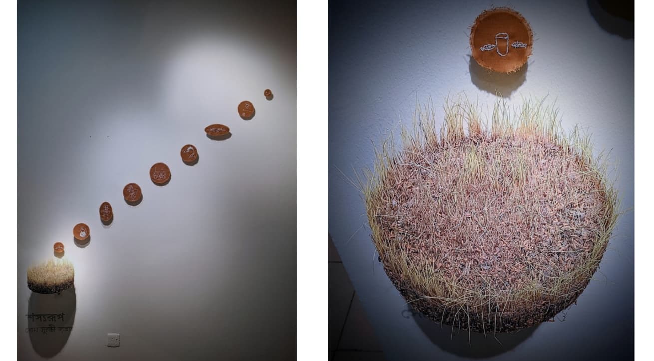 Seed, Soul, Soil