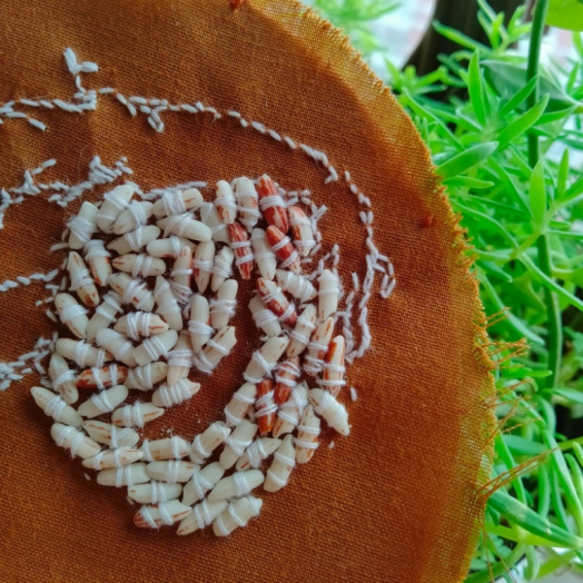 Detail: Installation _ ‘Seed, Soul, Soil’ _ Thread & Rice seed on cotton fabric, Rice Paddy _ 2021